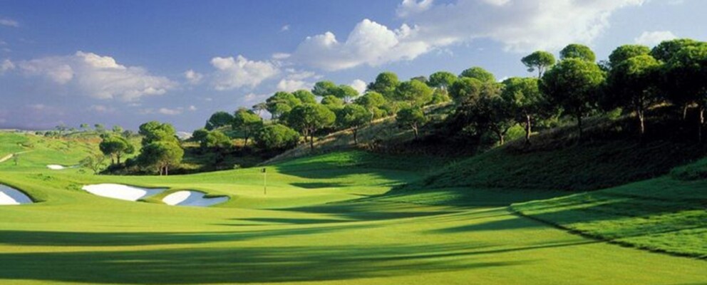 15% off Golf